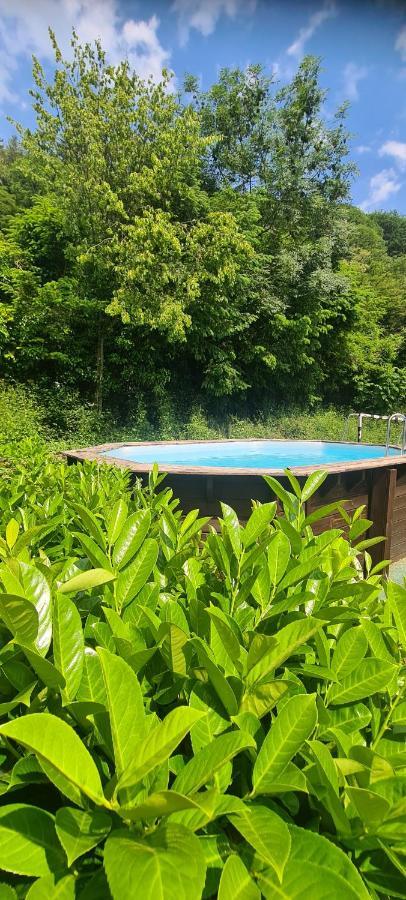 Maison Piscine Villa Saint-Amarin Luaran gambar