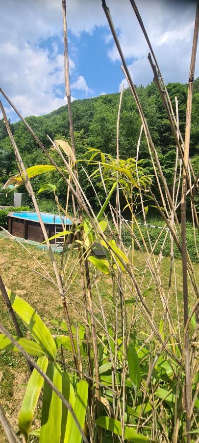 Maison Piscine Villa Saint-Amarin Luaran gambar